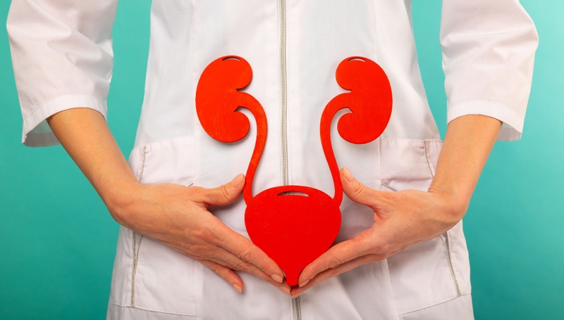 Bạn biết gì về tây dương sâm​? 3