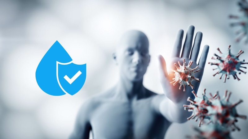 Mỗi loại tế bào T hỗ trợ có một chức năng riêng biệt