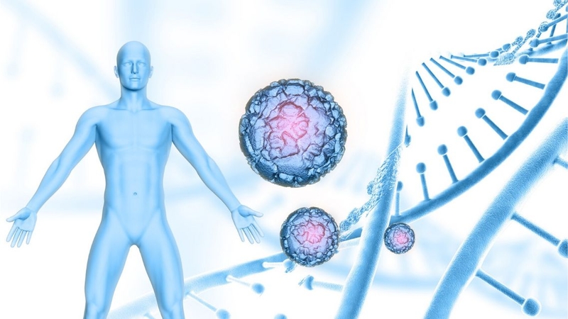 Tế bào T hỗ trợ là “bộ não chỉ huy” giúp hệ miễn dịch phối hợp nhịp nhàng