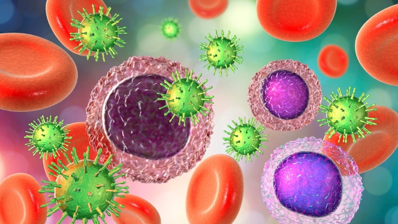 Liệu pháp tế bào gốc cũng tiềm ẩn rủi ro miễn dịch, nhiễm trùng và biến chứng