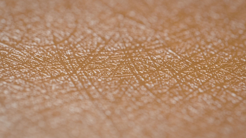 Tế bào gốc đơn năng phân bố tại các mô chuyên biệt như da, niêm mạc tiêu hóa