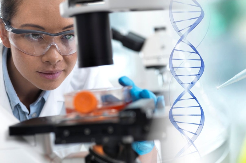 Tế bào gốc là gì? Nguồn gốc, ý nghĩa và khả năng chữa bệnh của tế bào gốc 3