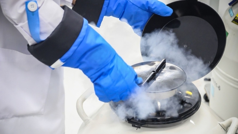 Tế bào gốc lưu trữ được bao lâu? Lưu trữ tế bào gốc để làm gì? 1