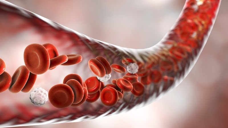 Tế bào gốc máu cuống rốn là gì? 3