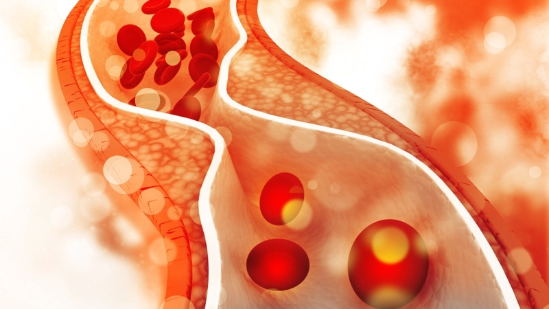 Tế bào gốc nhau thai và những điều cần biết 2