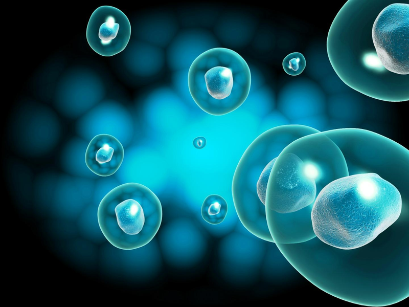 Tế bào gốc vạn năng được ứng dụng như thế nào?2