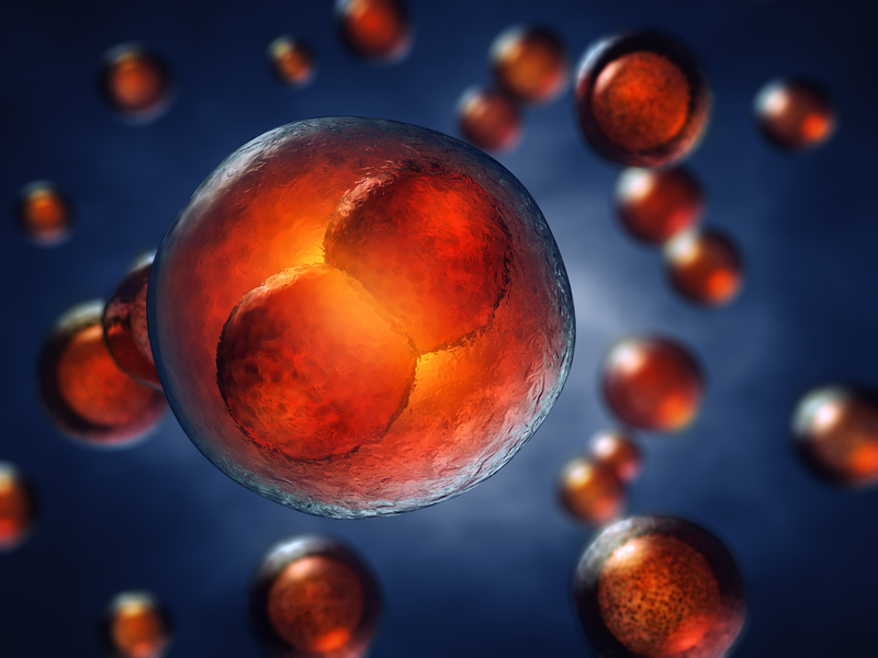 Tế bào gốc vạn năng được ứng dụng như thế nào?3