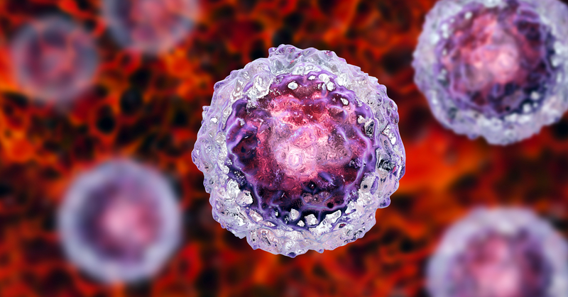 Tế bào ips là gì? Cùng tìm hiểu về ips - Tế bào gốc đa năng cảm ứng2