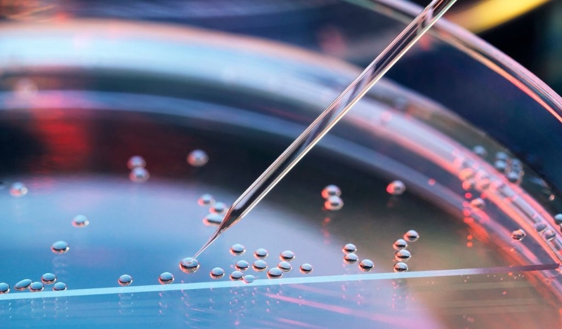 Tế bào là gì? Cấu tạo và chức năng của tế bào bình thường? 3