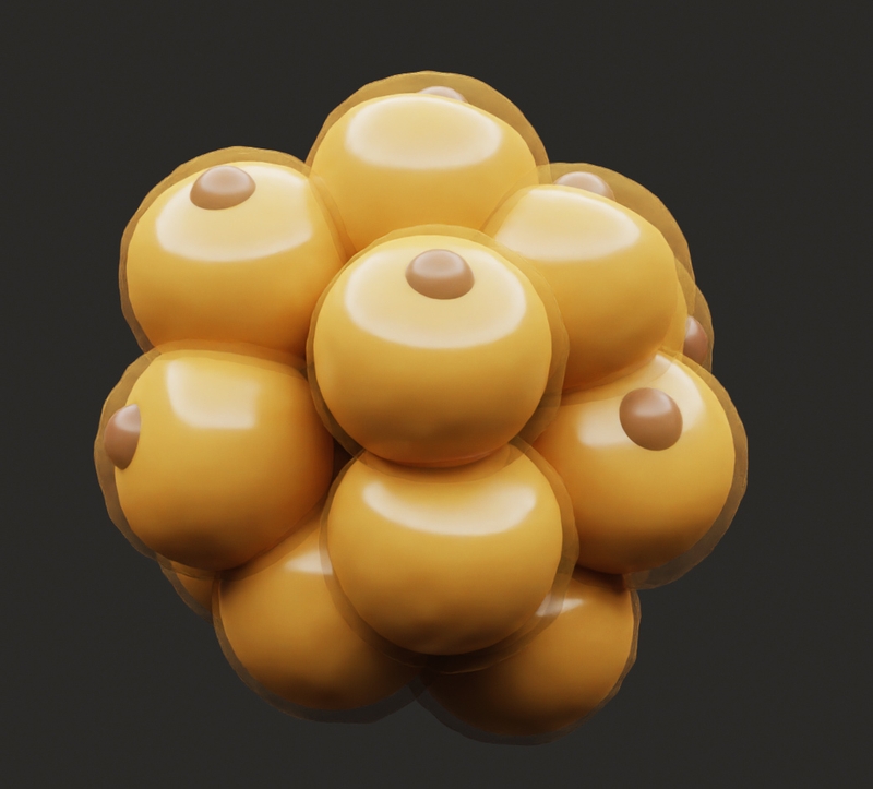 Tế bào mỡ và các hình dạng khác nhau trong cơ thể 1