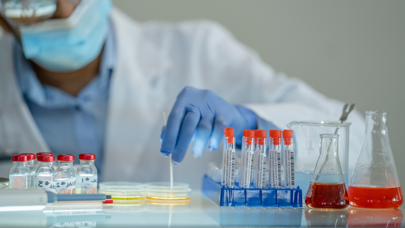 Tế bào T CD4 được phát hiện là yếu tố chính trong việc phòng ngừa bệnh lao 2