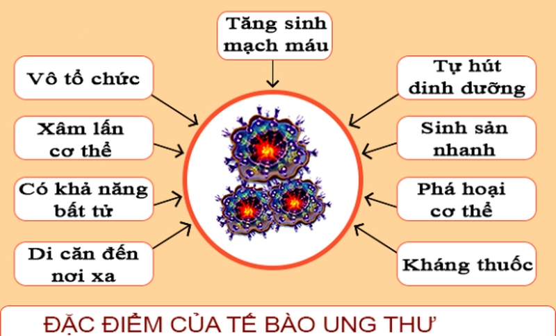 Thông tin từ A đến Z về tế bào ung thư trong cơ thể người 2