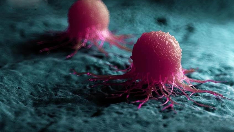 Ăn rau cần tây có tác dụng gì? 2