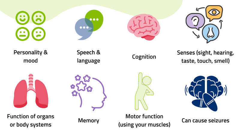 Teo thùy não là gì? Những vấn đề cần biết về Teo thùy não2.png
