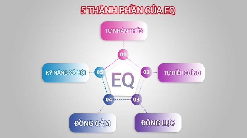 Test EQ là gì? Tìm hiểu ý nghĩa của việc kiểm tra chỉ số EQ 3