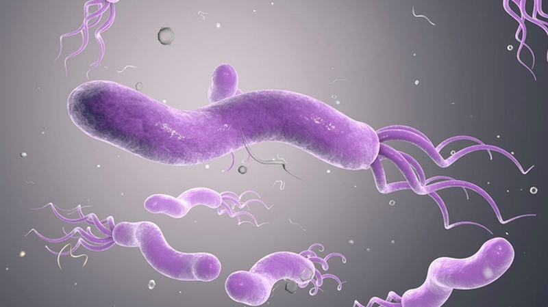 Test hơi thở C13 và tất tần tật những điều cần biết 4