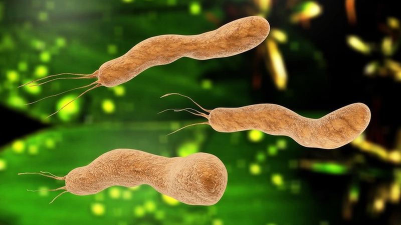 Test HP hơi thở C14 là gì? Cách thực hiện và những điều cần lưu ý 3