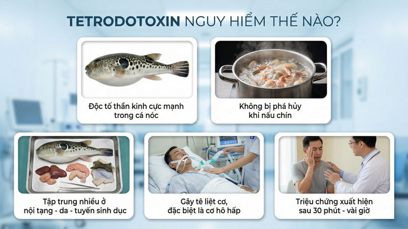 Tetrodotoxin nguy hiểm thế nào?