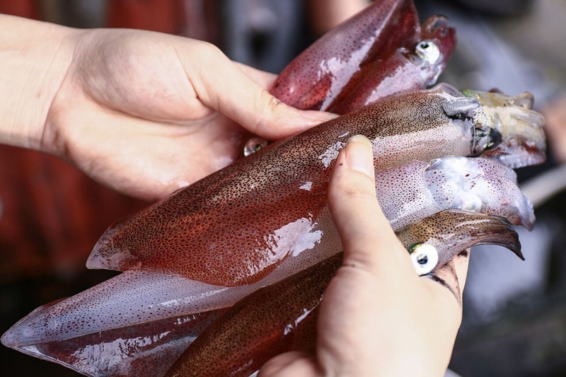 Thắc mắc: 100g mực bao nhiêu calo? Ăn mực có tốt không? 4