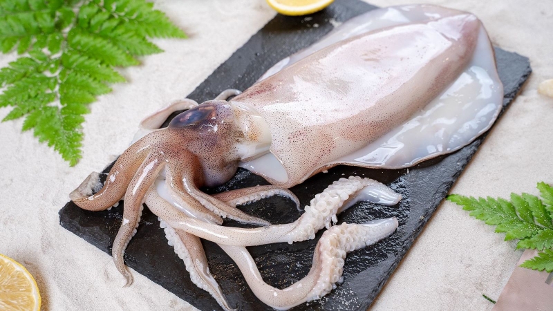 Thắc mắc: 100g mực bao nhiêu calo? Ăn mực có tốt không? 2