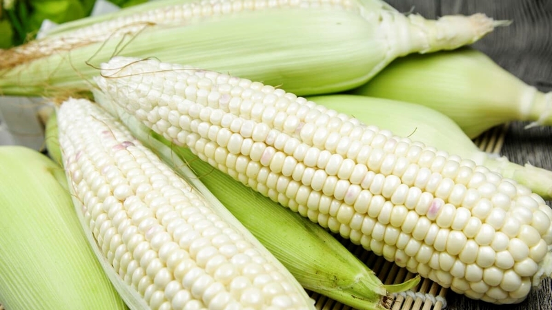 Thắc mắc: Bắp nếp bao nhiêu calo? Ăn bắp nếp lúc nào tốt nhất? 3