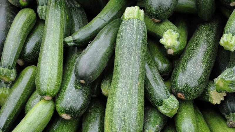 Bí ngòi ăn sống được không? Lợi ích của bí ngòi đối với sức khỏe 1