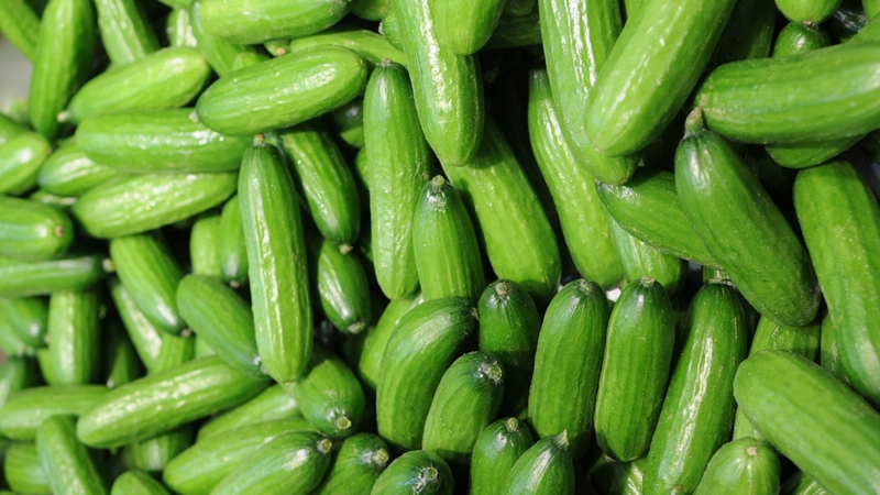 Thắc mắc: Bị trào ngược dạ dày có nên ăn dưa chuột? 5