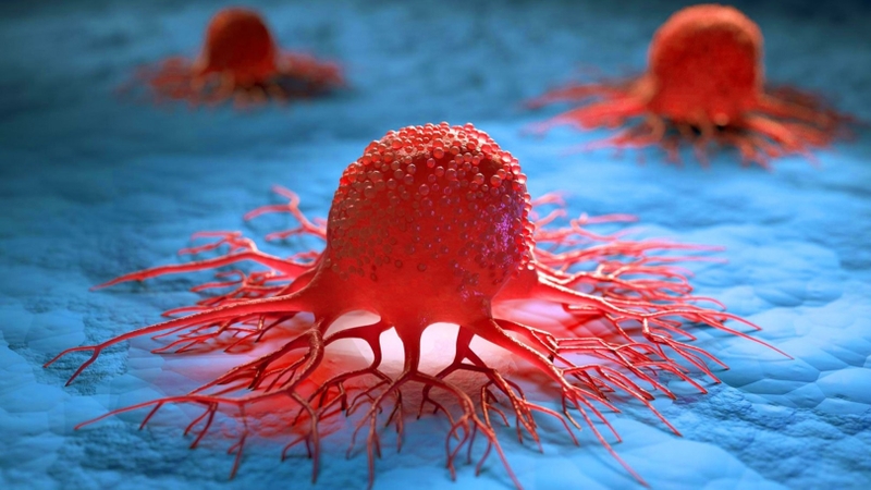 Thắc mắc: Bị ung thư ăn trứng được không? 2