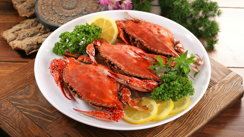 Bị vết thương hở ăn thịt vịt được không 2