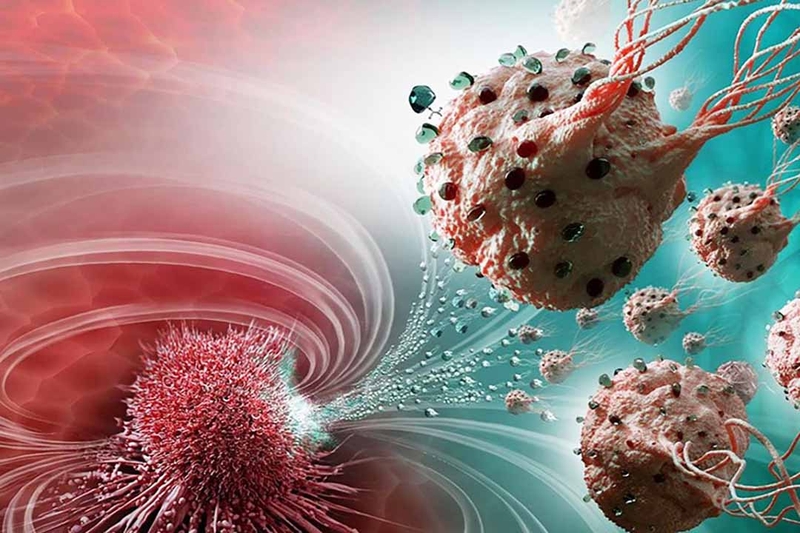 Thắc mắc: Cây tầm bóp có mấy loại? 3