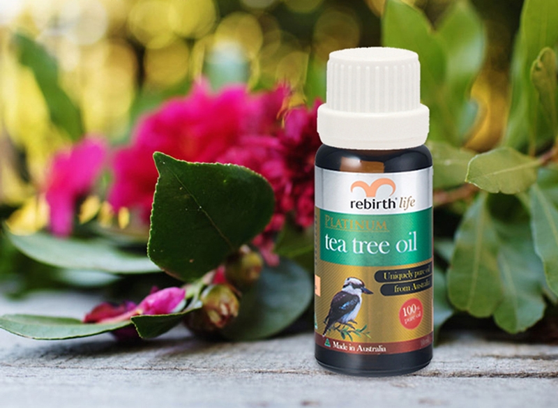 Có nên sử dụng tinh dầu tràm trà đuổi muỗi?