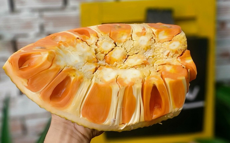 Thắc mắc: Đau dạ dày ăn mít được không? 4