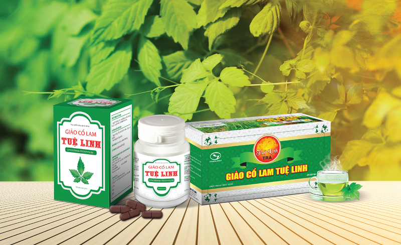 Thắc mắc: Huyết áp thấp có uống được giảo cổ lam không? 1