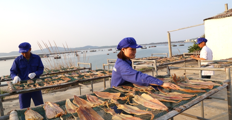 Thắc mắc: Khô mực bị mốc có ăn được không? 3