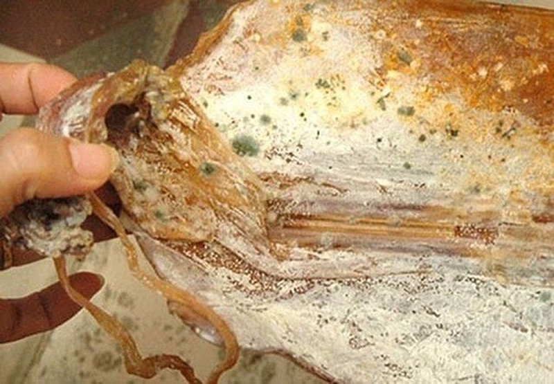 Thắc mắc: Khô mực bị mốc có ăn được không? 1