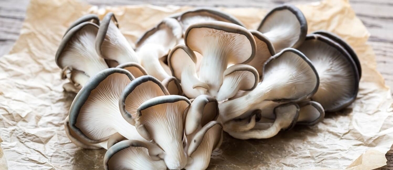 Thắc mắc: Nâng mũi ăn nấm được không?2