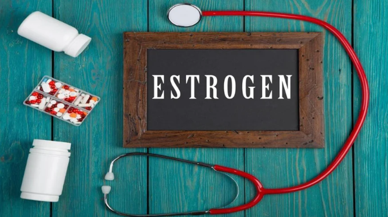 Thắc mắc: Nên ăn gì để tăng estrogen? 1