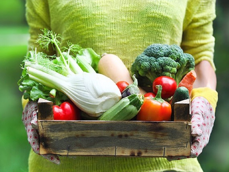 Thắc mắc: Người bị viêm gan B có béo được không? 3