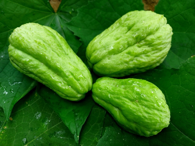 Thắc mắc: Người tiểu đường có ăn được su su không? 3