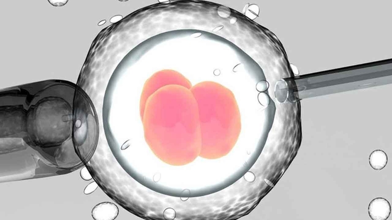 Thắc mắc: Thụ tinh ống nghiệm có an toàn không 1