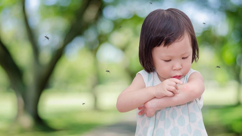 Thuốc xịt muỗi giúp đuổi muỗi, ngừa bệnh sốt xuất huyết,...