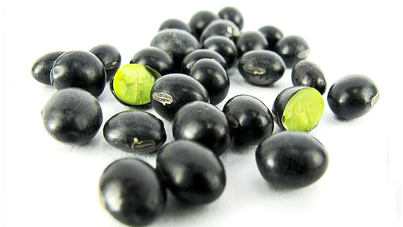 Thắc mắc: Uống đậu đen xanh lòng làm đẹp da có đúng không? 1