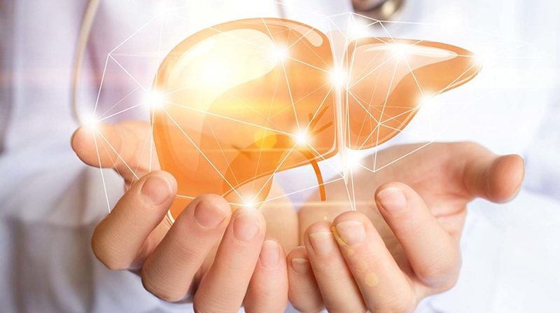 Thắc mắc: Uống lá cây gì tốt cho gan? 1