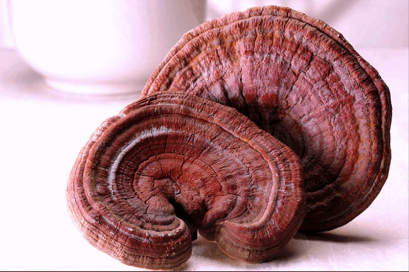 Thắc mắc: Uống nấm linh chi có giảm cân không? 1