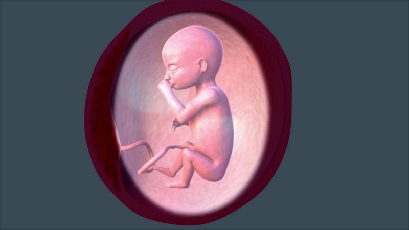 Thai 13 tuần phát triển như thế nào? Những điều mẹ bầu cần lưu ý khi mang thai ở tuần 13 1