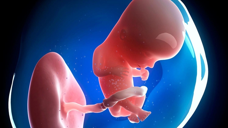 Thai 16 tuần có làm xét nghiệm NIPT được không? 1