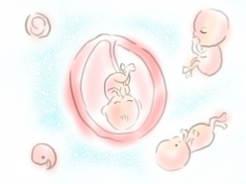 Thai 19 tuần nặng bao nhiêu là đạt chuẩn? Mẹ bầu cần lưu ý gì? 1