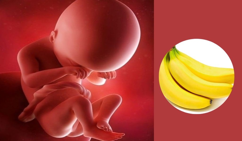 Thai 19 tuần tuổi phát triển như thế nào, nặng ra sao? Những thay đổi của cơ thể mẹ và bé 1