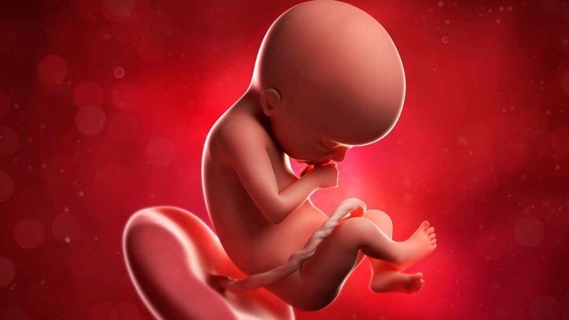 Thai 22 tuần mẹ tăng bao nhiêu kg là chuẩn khoa học? 2