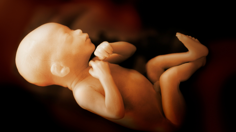 thai-23-tuan-dap-bung-duoi-co-sao-khong 1